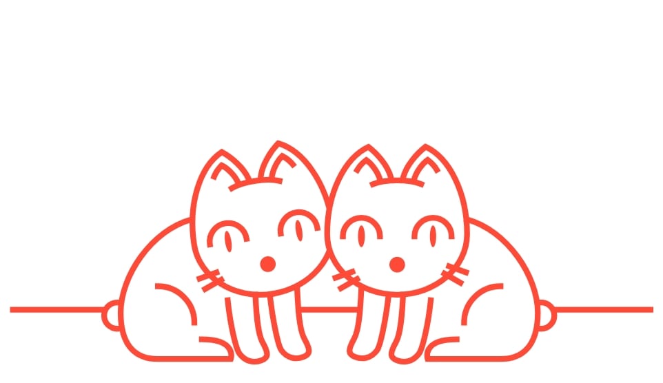 寂しがり屋のネコちゃん2匹